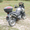 Suzuki V-Strom, 2009 г.