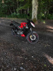 BAJAJ Pulsar, 2024 г.