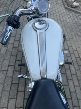 Harley-Davidson Sportster 1200C, 2005 г.