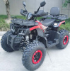 Racer RC 200 GLADIATOR, 2024 г.