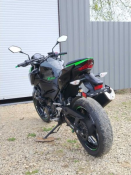 Kawasaki Z, 2022 г.