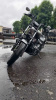 Yamaha XVS 1300 STRYKER, 2014 г.