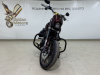 Harley-Davidson Softail Low Rider, 2021 г.