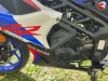 Спорт Racer RC 250XZR-A Storm, 2025 г.