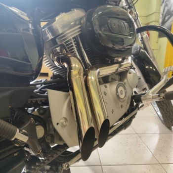 Harley-Davidson Sportster XL883Custom, 2005 г.
