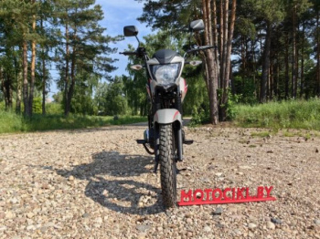 Motoland STING 200, 2026 г.