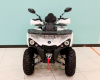 Mikilon Hammer, 2025 г.