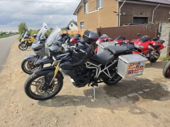 Triumph Tiger, 2010 г.