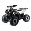 Motoland Rider Storm 125cc, 2023 г.