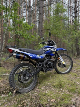 Racer Panther, 2019 г.
