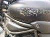 Kawasaki EL 450, 2025 г.