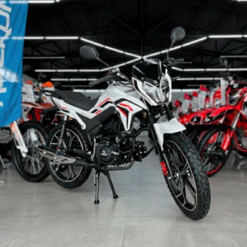 ROCKOT ALPHA DYNAMIC, 2025 г.