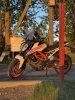KTM 390, 2017 г.
