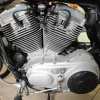 Harley-Davidson Sportster XL883Custom, 2005 г.