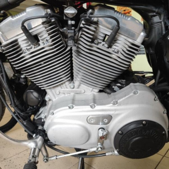 Harley-Davidson Sportster XL883Custom, 2005 г.