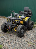Storm 200 Wild Track Lux, 2025 г.