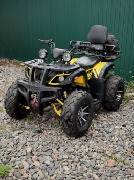 Storm 200 Wild Track Lux, 2025 г.