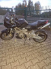 Aprilia Shiver, 2011 г.