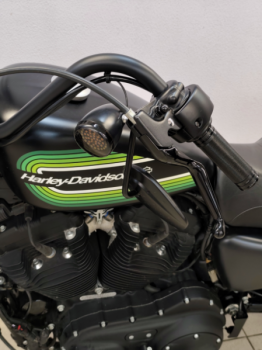 Harley-Davidson Sportster XL 1200NS (Iron 1200), 2021 г.