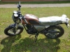 Классик Racer RC 250CK-A Triumph, 2024 г.