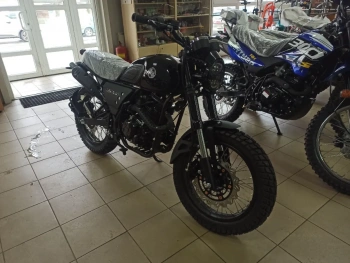 Классик Racer RC 300-GY8H Triumph 300, 2025 г.