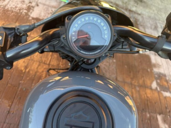 Harley-Davidson Nightster, 2022 г.