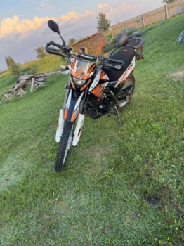 Racer Panther, 2020 г.
