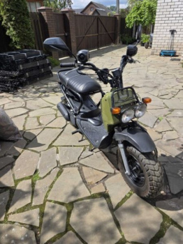 Honda Zoomer, 1999 г.