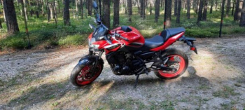 Kawasaki Z 650 ABS, 2022 г.