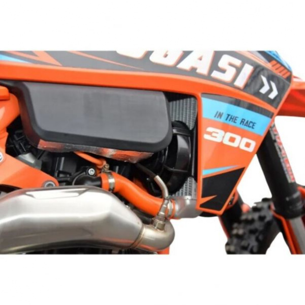 Progasi Endurance 300 EFI Эндуро, 2026 г.