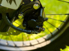 Racer Panther Pro, 2026 г.