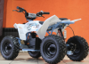 Kayo eA50, 2024 г.
