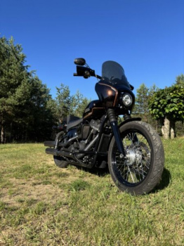 Harley-Davidson Softail Street Bob FXBB, 2019 г.