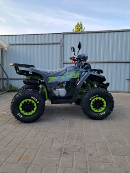 Детский Motoland Wild  125 X, 2026 г.