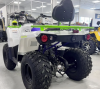Motoland Shark ATV 200, 2025 г.