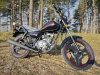 Hors Z 150, 2026 г.