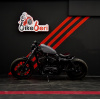 Harley-Davidson Sportster 883 2006 года