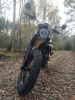 Motoland LEGEND 300, 2023 г.