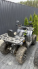 Motoland 200 Wild Track, 2024 г.