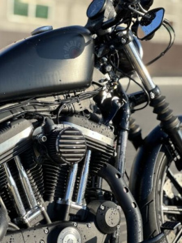 Harley-Davidson Sportster, 2019 г.