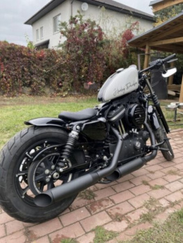 Harley-Davidson Sportster XL883N, 2019 г.