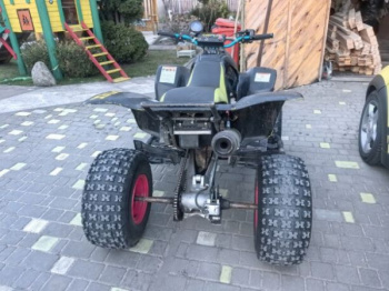 Honda TRX, 2005 г.