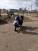 Hors 56 alesin alx 50 t16, 2008 г.