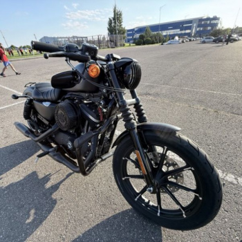 Harley-Davidson Sportster 883 iron, 2022 г.