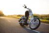 Эксклюзив Редкая модель Bourget’s Bike Works Dragon Rigid Choppe, 2006 г.