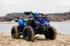 Sharmax Activator 250, 2025 г.