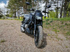 Regulmoto Alien Monster 300, 2025 г.