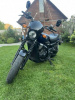 Harley-Davidson Street SG 750, 2016 г.