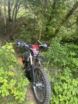 Regulmoto Sport, 2018 г.
