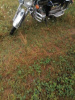 Aprilia Mojito год2016, 2016 г.